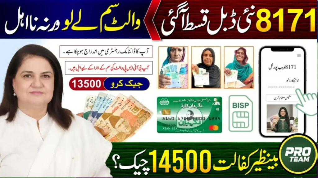 Ehsaas Program 8171 Online CNIC Check (2026 Complete Guide)
