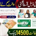Ehsaas Program 8171 Online CNIC Check (2026 Complete Guide)