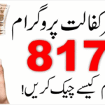 8171 Ehsaas Program | Benazir Income Support Programme (BISP) | 8171 Web Portal