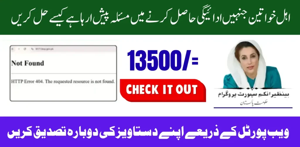8171 Ehsaas Program Payment Issues – Common Problems and Their Solutions (Complete Guide 2026)
