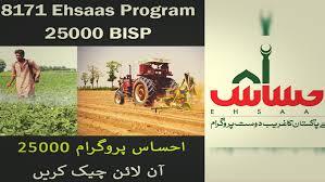 Ehsaas Program 25000 CNIC Check 2026