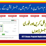 Ehsaas 8171 Program Mein Register Hone Ka Easy Method (No Agent Needed)