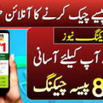 CNIC Check Karne Ka Sab Se Fast Tarika (8171 Live Method)