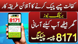 CNIC Check Karne Ka Sab Se Fast Tarika (8171 Live Method)