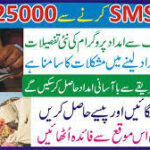 8171 SMS Ka Secret — Kaise Pata Karein Paisa Kab Milega (Complete 2026 Guide)