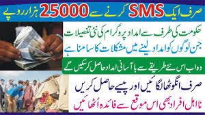 8171 SMS Ka Secret — Kaise Pata Karein Paisa Kab Milega (Complete 2026 Guide)