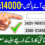 Ehsaas Program Se 100% Approval Kaise Le? Hidden Tips! (2026 Guide)