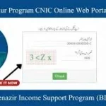 Online CNIC Check — 2 Minute Mein Result? Full Truth & Easy Method (2026 Guide)
