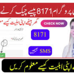 8171 SMS Se Apni Payment Check Karein — 1 Minute Ka Kaam!!