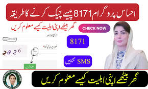 8171 SMS Se Apni Payment Check Karein — 1 Minute Ka Kaam!!